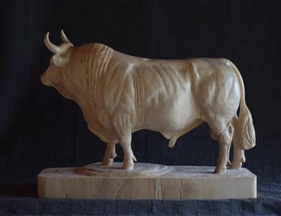 Alter Simmentaler Zuchtmuni, Lindenholz 46x58x22cm