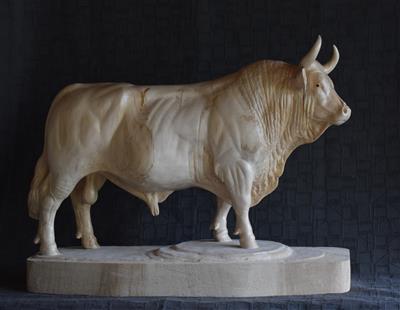 Alter Simmentaler Zuchtmuni, Lindenholz 46x58x22cm